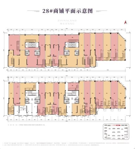 中南熙悦商铺热销探秘三 多校流量,消费力充足